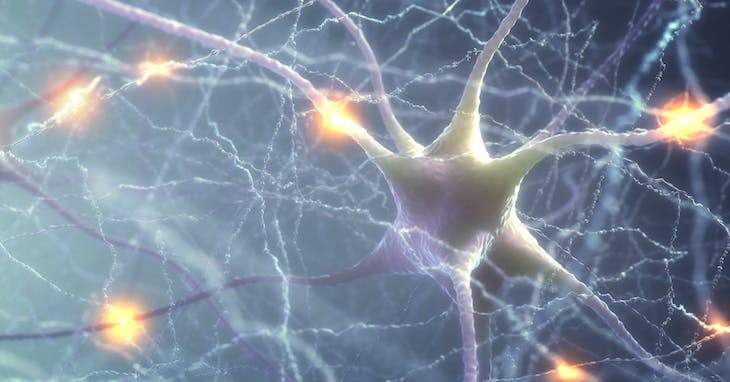 這可能是下一代 AI 曙光：MIT 模擬生物神經元，打造 LNN 液體神經網路